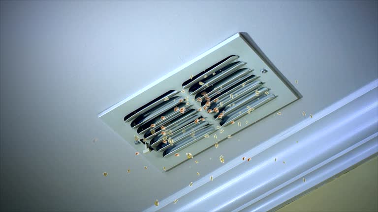 Best Best Air Duct Cleaning Company  in Carrollton, VA