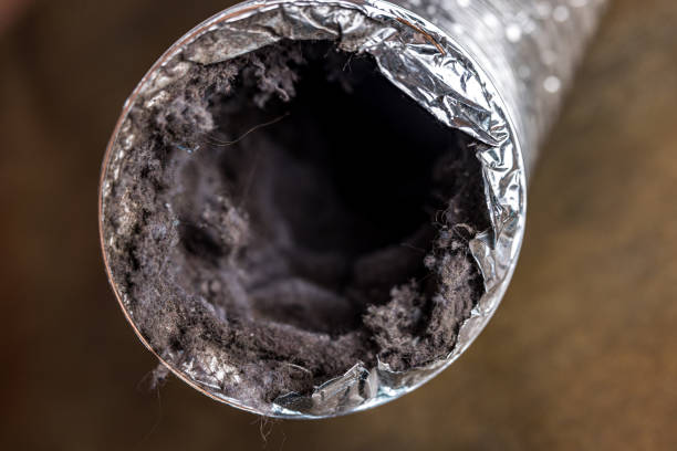Best Air Vent Cleaning Services  in Carrollton, VA