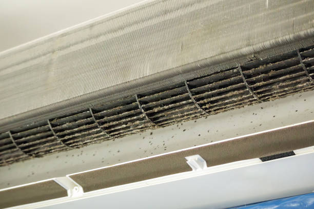 Best Commercial Air Duct Cleaning  in Carrollton, VA